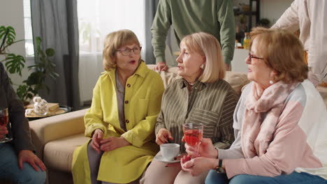 Fröhliche-ältere-Frauen-Unterhalten-Sich-Auf-Der-Party-Zu-Hause